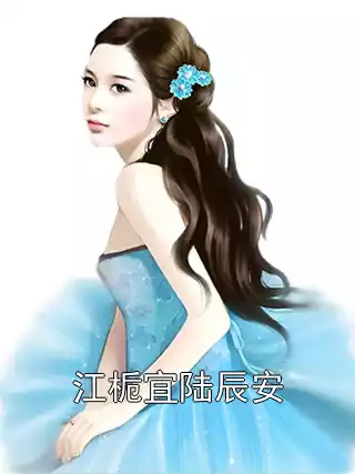 江栀宜陆辰安小说