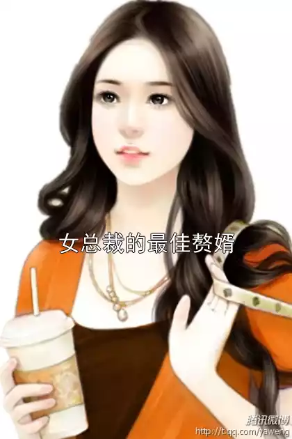 女总裁的最佳赘婿小说