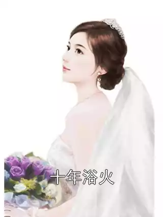 十年浴火小说